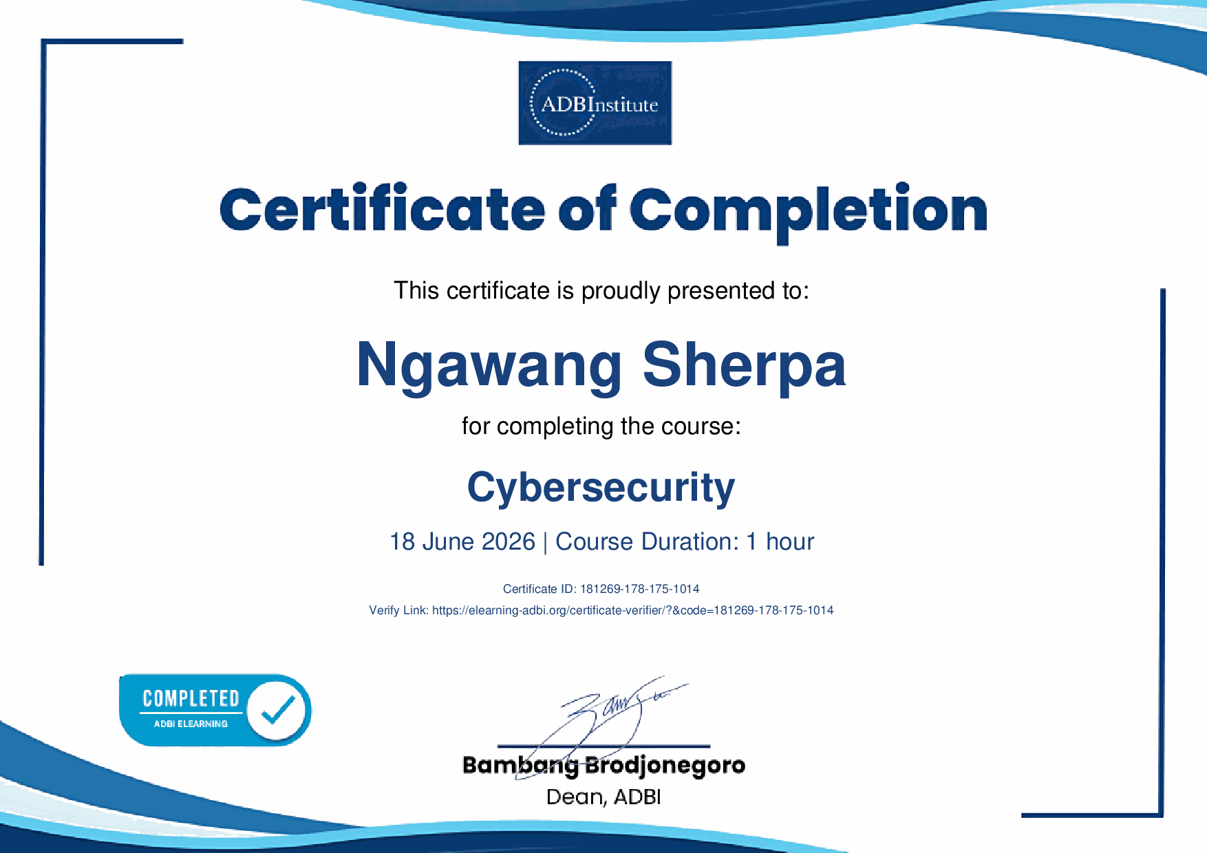Cybersecurity ADBI E-Learning Certificate